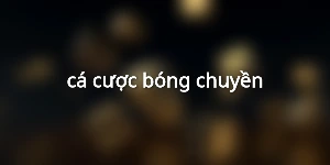 cá cược bóng chuyền