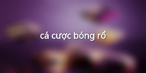 cá cược bóng rổ